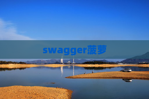swagger菠萝